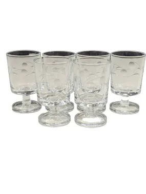 6 Etched Shot Glasses